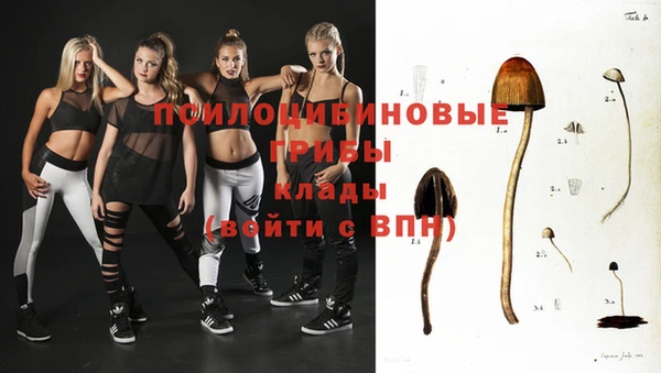 герыч Сосновка