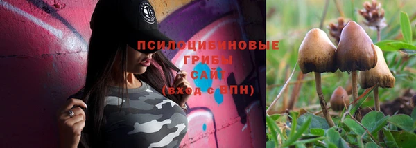 каннабис Баксан