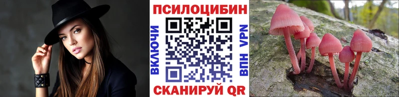 Псилоцибиновые грибы Cubensis Вольск