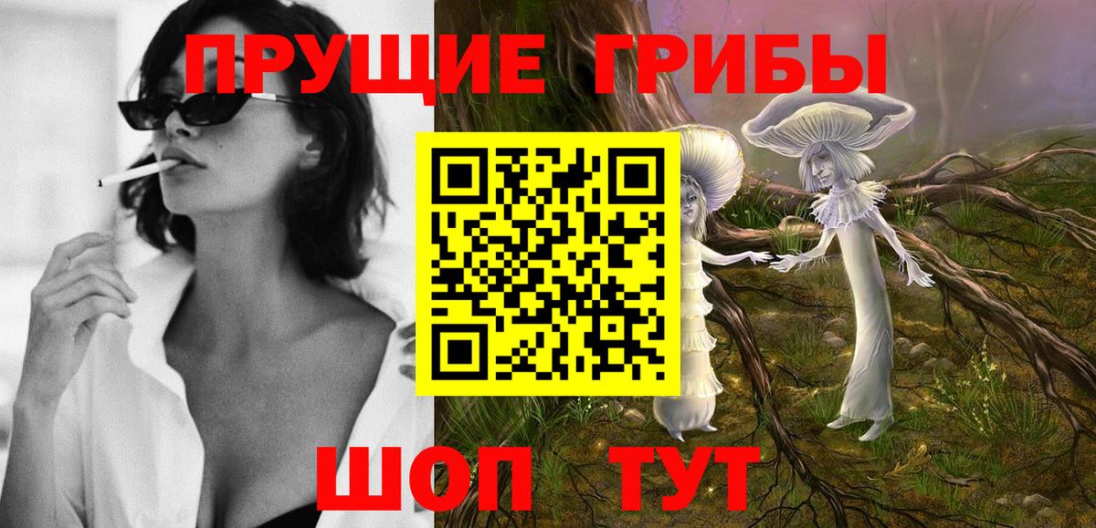 Галлюциногенные грибы Cubensis Вольск